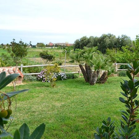 Casa Vacanze Il Pino, Orosei Zewnętrze zdjęcie